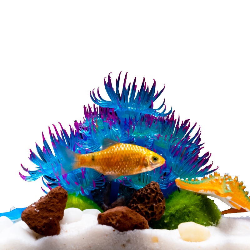 San Hô Silicone Màu Huỳnh Quang Trong Suốt Trang Trí Bể Cá