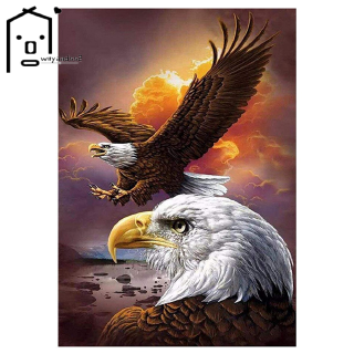 Bộ Tranh Đính Đá 5d Tự Làm Hình Chim Đại Bàng Mỹ 5d A03805