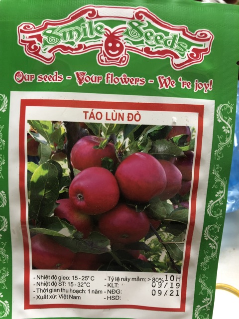 Táo Lùn Đỏ 10H Smile Seeds