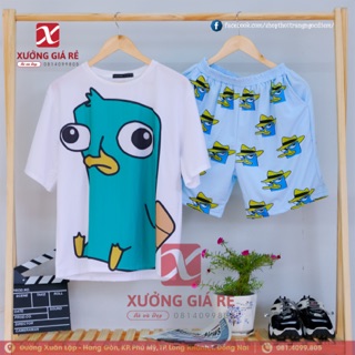 SET CARTON VỊT PERRY