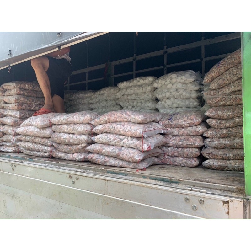 Bao sỏi 12- 13kg đủ màu - dùng trang trí hồ cá, tiểu cảnh, hòn non bộ, sân vườn - GIÁ SỈ