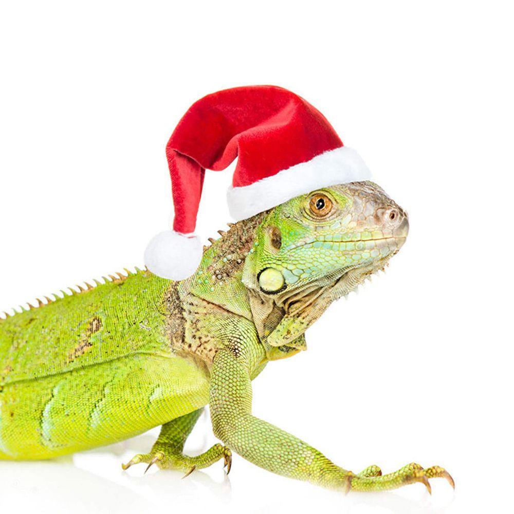 LANSEL Nón Đội Có Thể Điều Chỉnh Hóa Trang Thằn Lằn / Gà / Ông Già Noel Dễ Thương