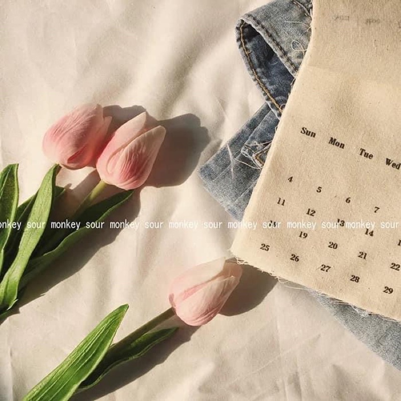 Hoa tulip phụ kiện chụp ảnh siêu xinh