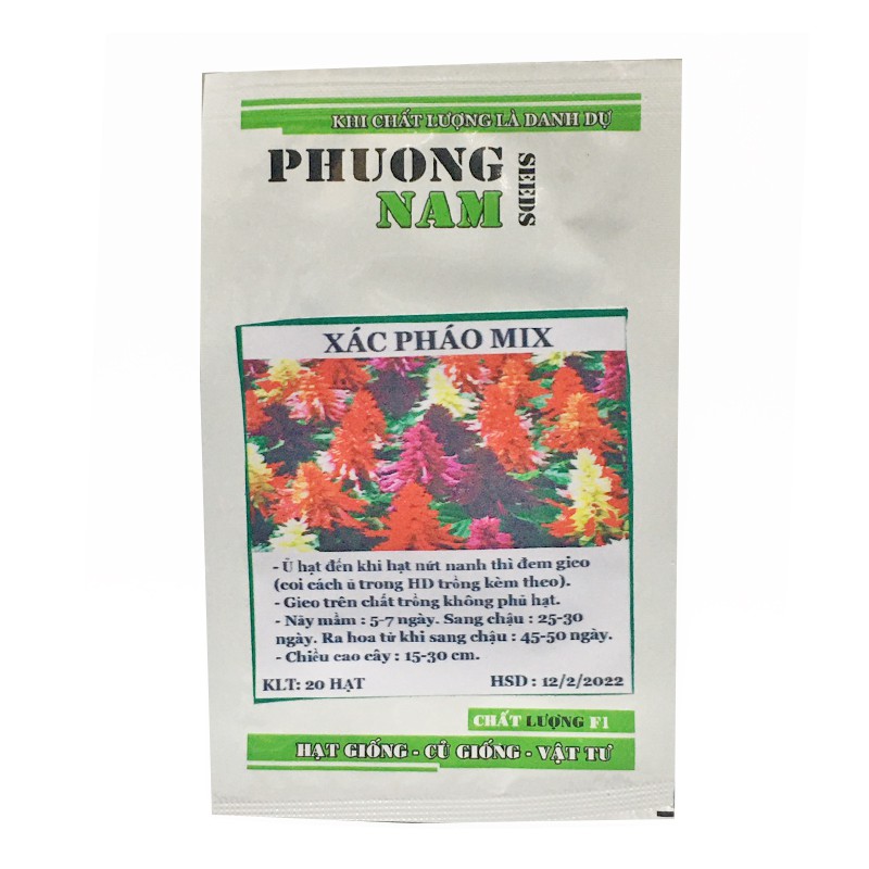 20H - HẠT GIỐNG HOA XÁC PHÁO MIX