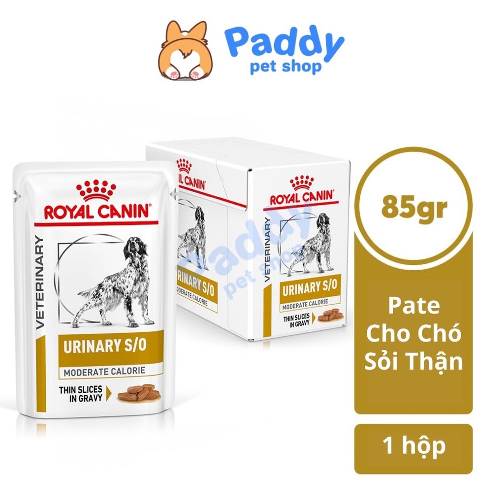 [Mã 253FMCGSALE giảm 8% tối đa 100K đơn 500K] [Hộp 12 gói] Pate Royal Canin Urinary S/O Cho Chó Bị Sỏi Thận 85g