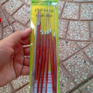 Bộ dụng cụ lấy ráy tai