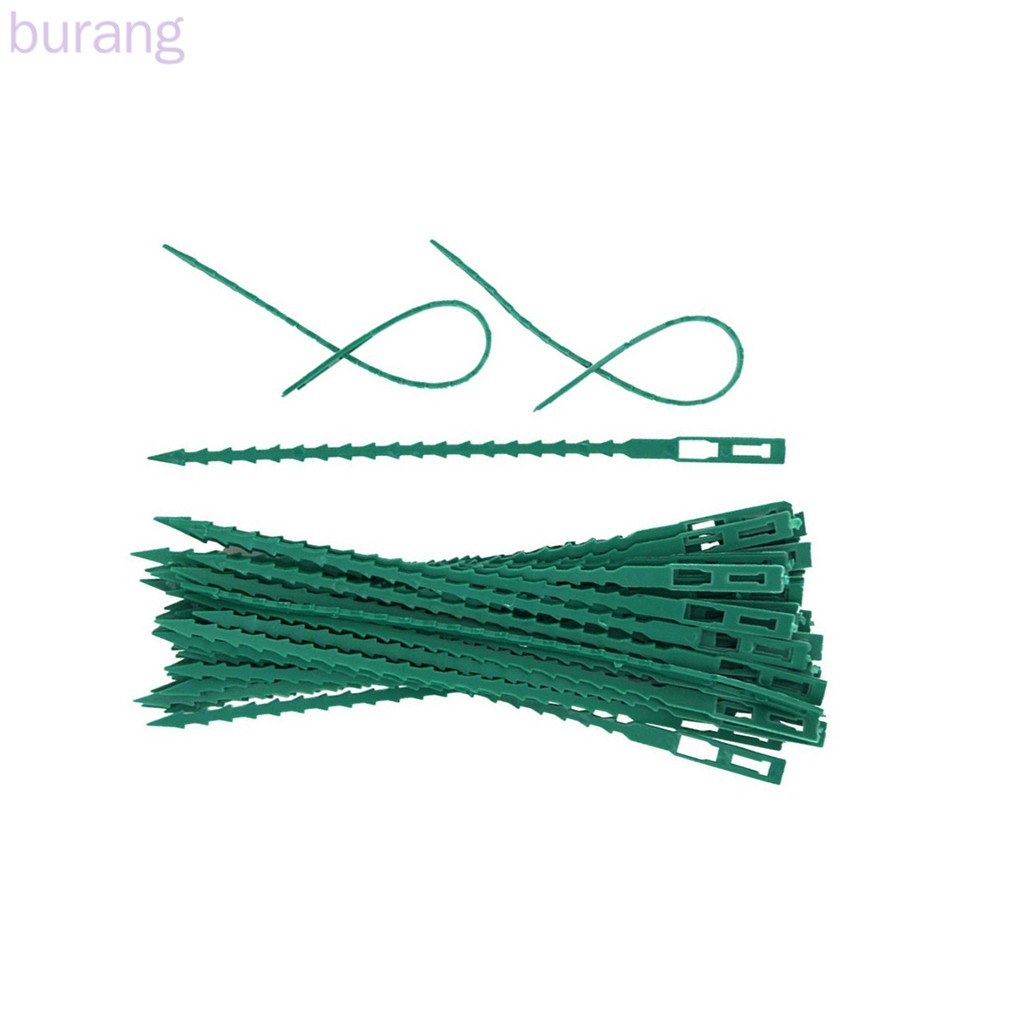 Bộ 50 sợi dây khóa rút bằng nhựa buộc cây trồng tiện dụng