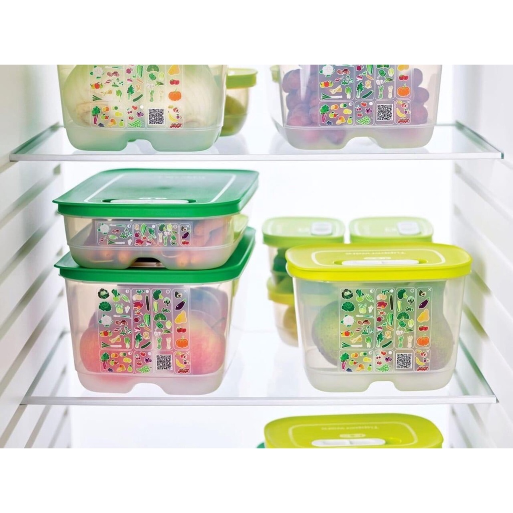 Bộ hộp Ventsmart nữ hoàng trữ mát có nút hô hấp cao cấp set 4 (4.4l 1.8l dẹp, cao) Tupperware