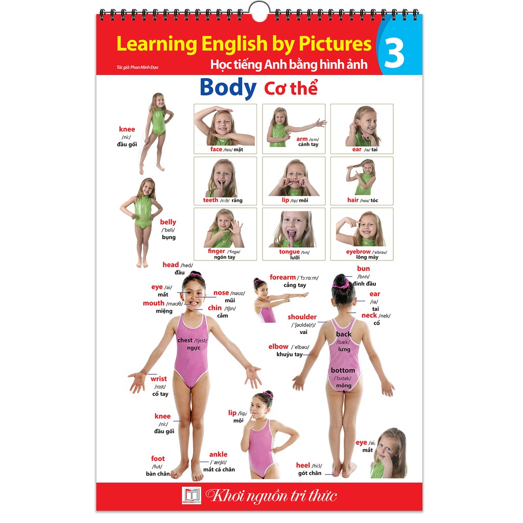 Sách - Tranh treo tường - Học tiếng Anh bằng hình ảnh tập 3