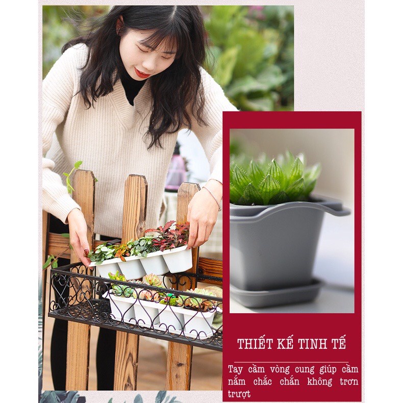 Chậu trồng cây hoa đá ,sen đá,xương rồng Oliz-T1