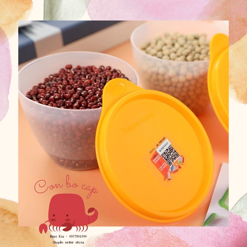 Hộp Nhựa Nắp Tròn 400ML Chính Hãng Tupperware - Trữ Mát Đồ Ăn Dặm, Trái Cây, Kẹo, Ô Mai - Đựng Hành Tỏi Ớt Bằm Nhỏ Gọn