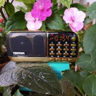 Đồ chơi nghe nhạc