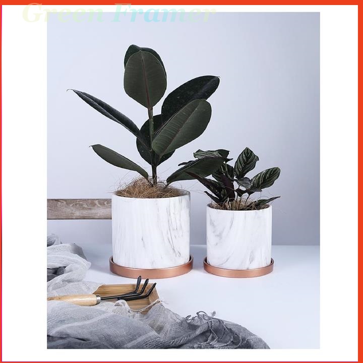 Chậu gốm bonsai dáng trụ có khay lót, Chậu trồng Sen Đá