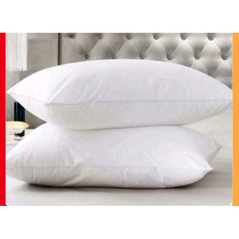 Ruột gối nằm Gòn 100% đủ kích thước