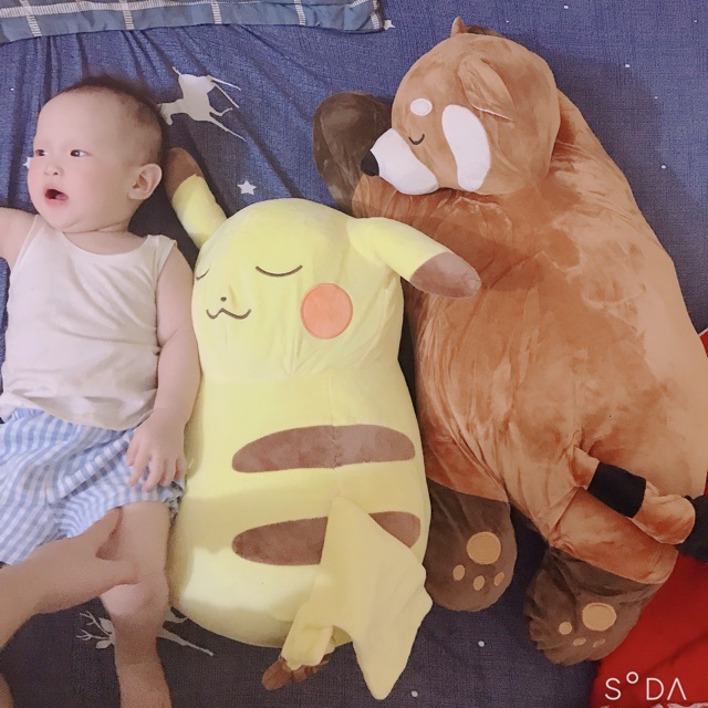 Gấu bông của khách