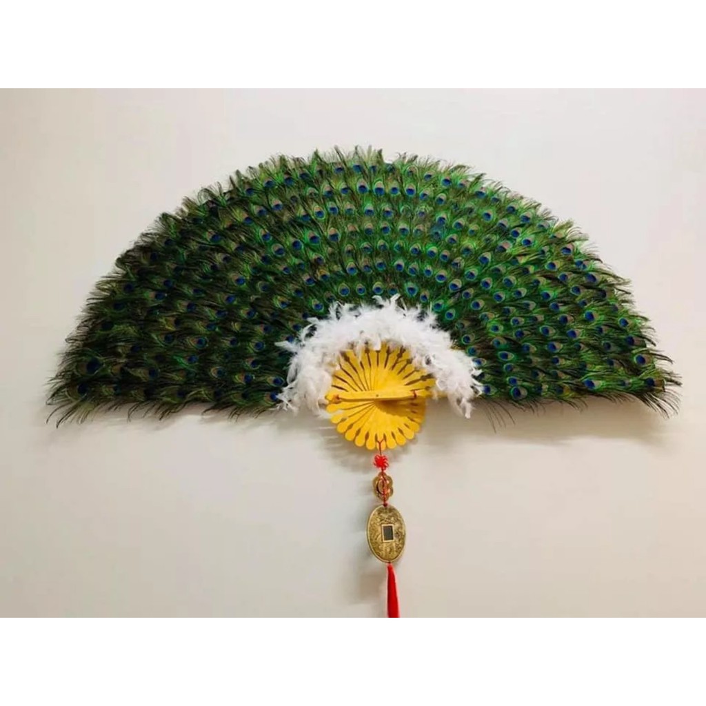 Lông Công -Quạt