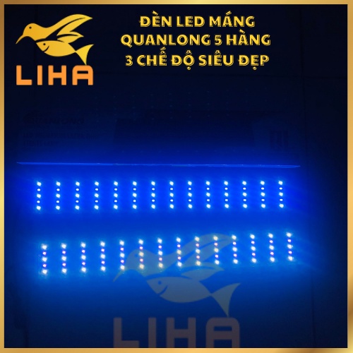 Đèn Led Máng Quanlong 5 Hàng 3 Chế Độ Siêu Đẹp Cho Bể Cá
