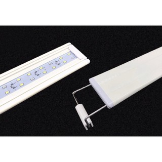 Đèn Led Ánh Sáng Trắng Bể Cá Cảnh