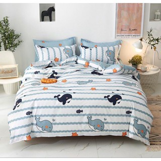 Bộ Chăn Ga Gối Cotton Basic
