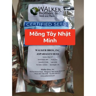 100 HẠT GIỐNG MĂNG TÂY XANH ATLAS F1