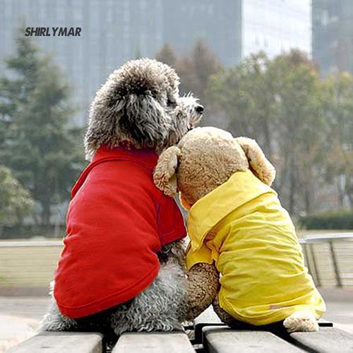 Áo Thun Tay Ngắn In Hình Dễ Thương Cho Thú Cưng