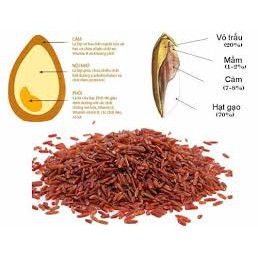 Trà gạo lứt đậu đen xanh lòng 500gr, loại đậu đen quê hạt nhỏ.