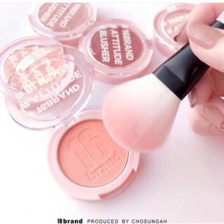 PHẤN MÁ HỒNG 16BRAND SIXTEEN CHEEK SHOT