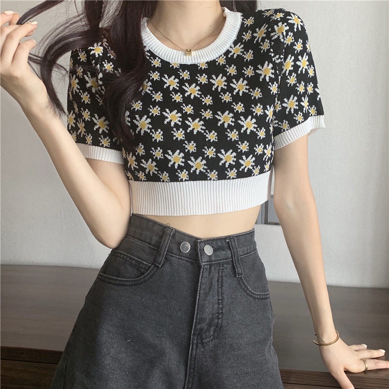Áo Thun Dệt Kim Ngắn Tay Họa Tiết Hoa Cúc Phong Cách Hàn Quốc Cho Nữ