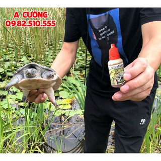 Mồi Dụ Baba Thái Lan siêu nhậy