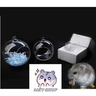 Nhà ngủ trong suốt dành cho hamster