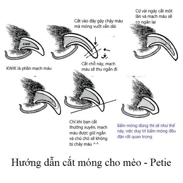 Kìm cắt móng cho thú cưng