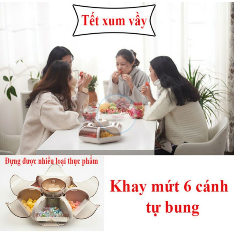 Khay đựng mứt, bánh kẹo 6 cánh tự bung
