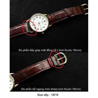 Dây Đồng Hồ Da Cá Sấu