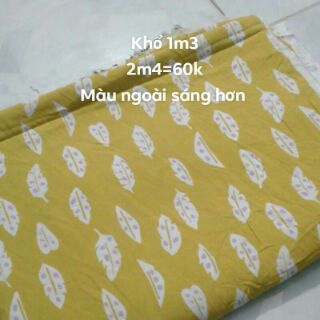 Ton  ( lanh )
