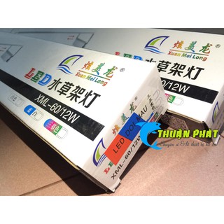 Đèn Hồ Cá Siêu Sáng Led Trắng XML 40cm, Led Trắng XML 60cm, Led XML 60cm 3 chế độ (Hàng Công Ty)