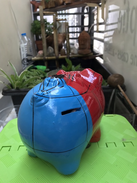 Heo đất Người nhện size M