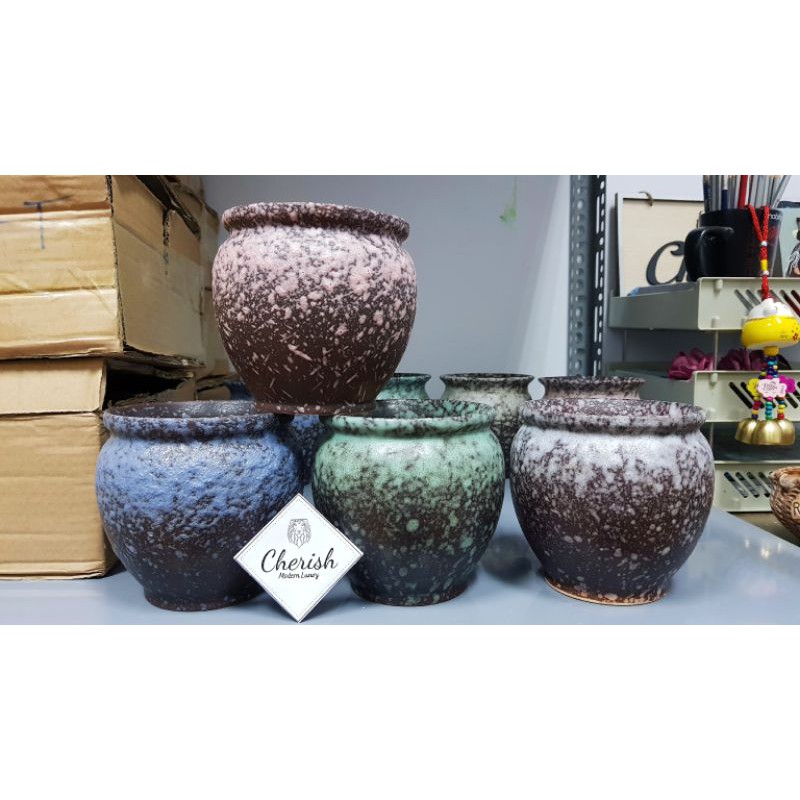 Chậu trồng cây cảnh sen đá xương rồng