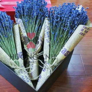 Hoa oải hương lavender khô Pháp 