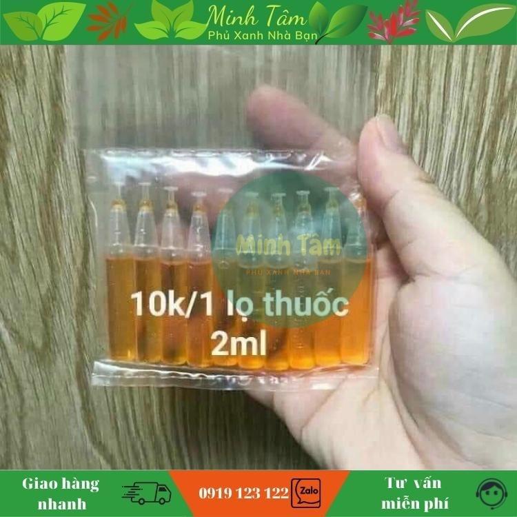 [hàng dày đẹp] Bộ đèn bẫy ruồi vàng  tặng kèm 1 lọ thuốc 2ml