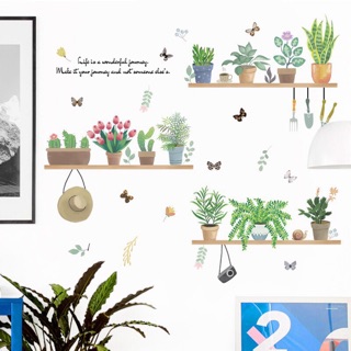 Decal tranh dán tường xương rồng, cây cảnh