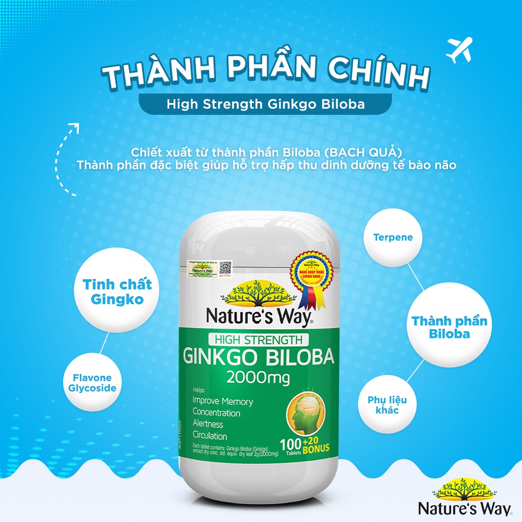 Viên Uống Tuần Hoàn Não Nature's Way High Strength Ginkgo Biloba Tăng Cường Trí Nhớ 2000mg