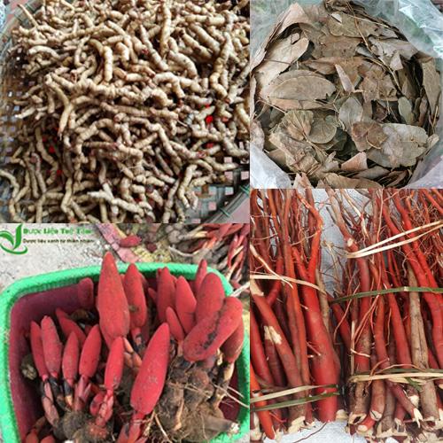 COMBO nấm ngọc cẩu, ba kích tím, dâm dương hoắc, sâm cau đỏ - tổng 1kg