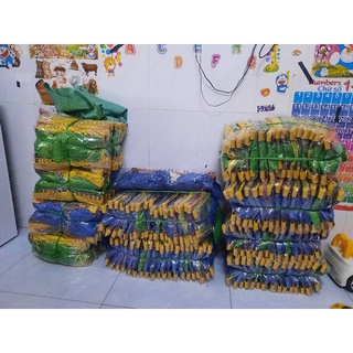 Võng lưới trẻ em cán nhựa
