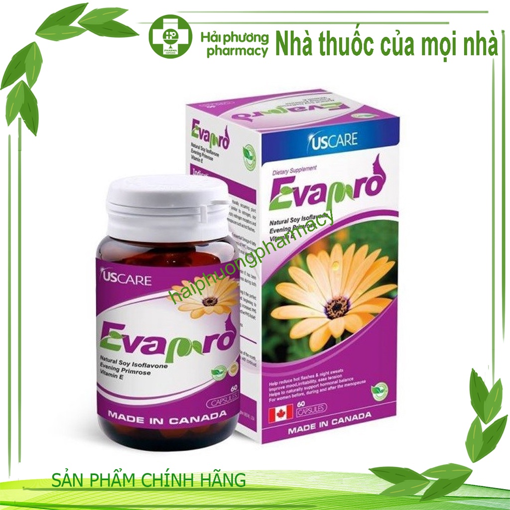 Evapro (Hộp 60 viên) Tăng Cường Sinh Lý Nữ và Cân Bằng Nội Tiết Tố Nữ Evapro (Hộp 60 viên)