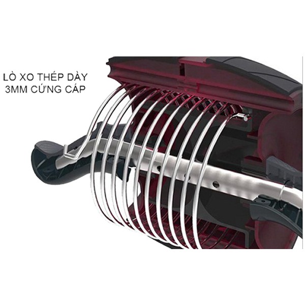 Con Lăn Tập Cơ Bụng Có Lò Xo Trợ Lực AB Pro Chính Hãng Đại Nam Sport + Tặng Kèm Thảm Lót Đầu Gối