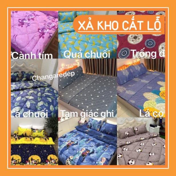 Free Ship50k Bộ 1 Ga chun và 2 vỏ gối Cotton poly, chat chọn mẫu.