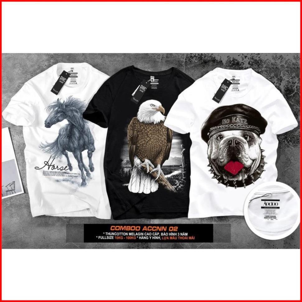 [big size] SALE SỐC CHỈ 99k/3Áo - Áo thun nam - Áo thun nữ - Áo bigsize -  [Shop ship mẫu ngẫu nhiên