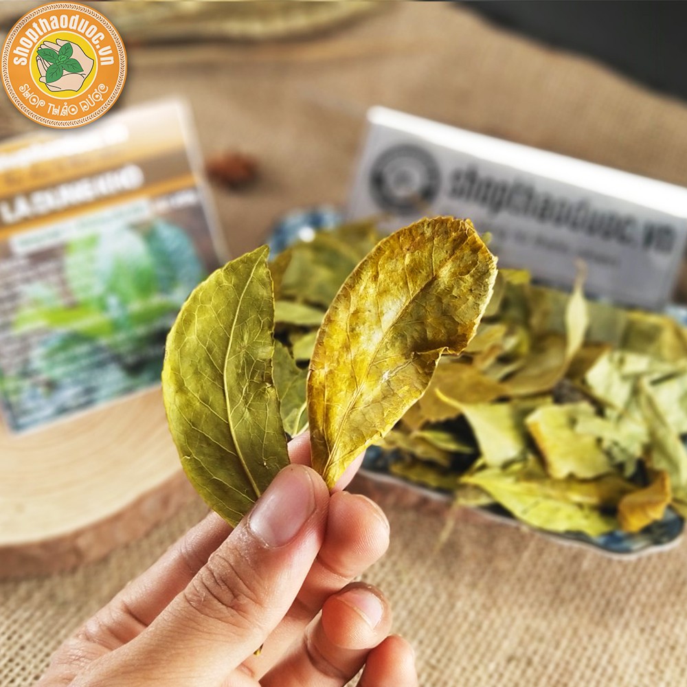 Chè Dung Gói 250G ép chân không - Trà Lá Dung - Tốt Cho Người Đau Dạ Dày