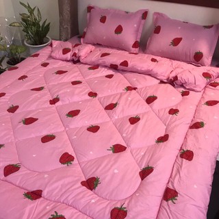 [Thanh lý hàng] Bộ Chăn Phao Ga Gối Poly Set 5 Món mẫu Dâu hồng