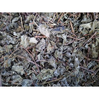 Chè dây khô (trị đau, viêm loét dạ dày)